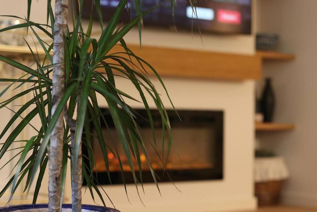 Lc Apartaments Voramar بينيكاسّين المظهر الخارجي الصورة