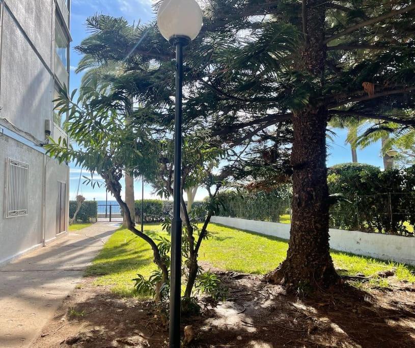 Lc Apartaments Voramar بينيكاسّين المظهر الخارجي الصورة