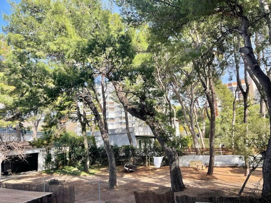 Lc Apartaments Voramar بينيكاسّين المظهر الخارجي الصورة